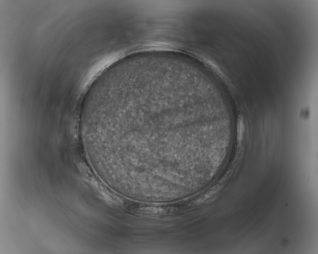 X0000115581405200912011428