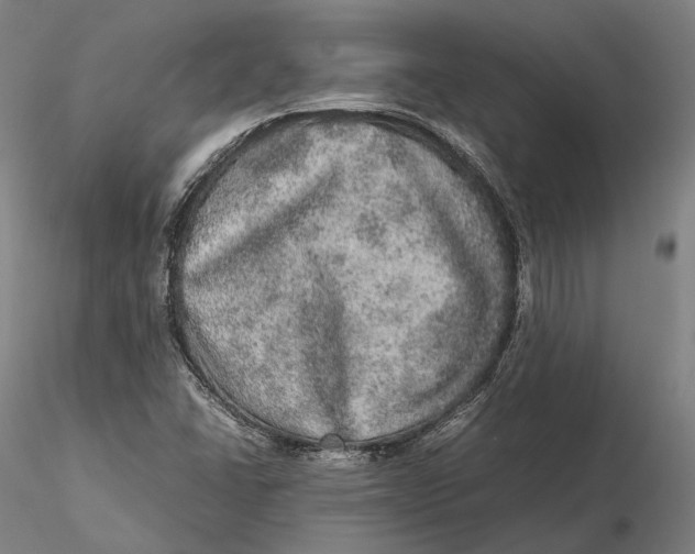 X0000115581406200912011428