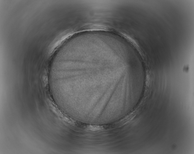 X0000115581407200912011428