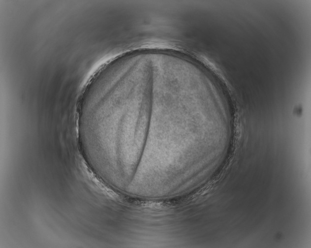 X0000115581408200912011428