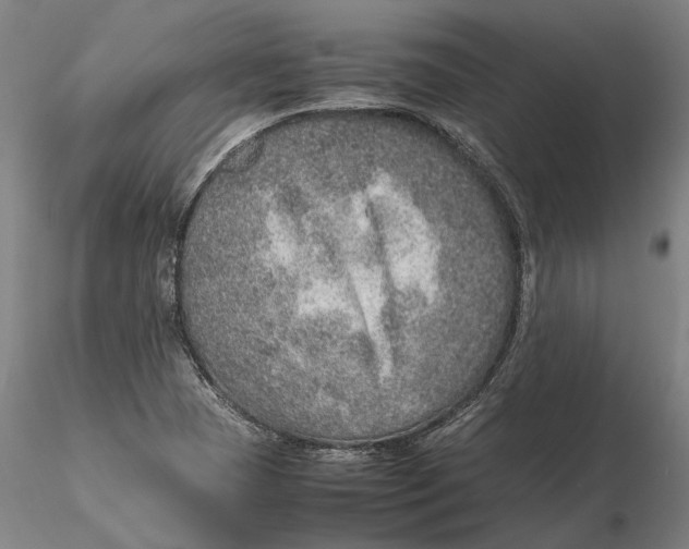 X0000115581409200912011428