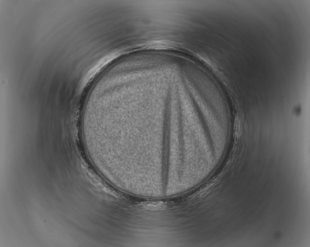 X0000115581410200912011428