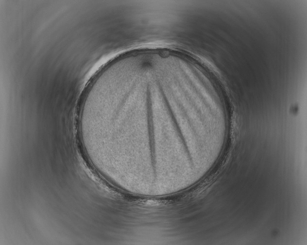 X0000115581412200912011428