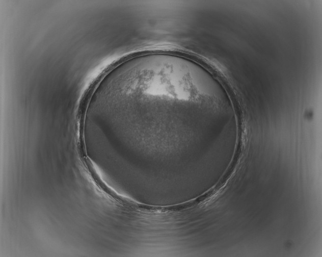 X0000115581414200912011428