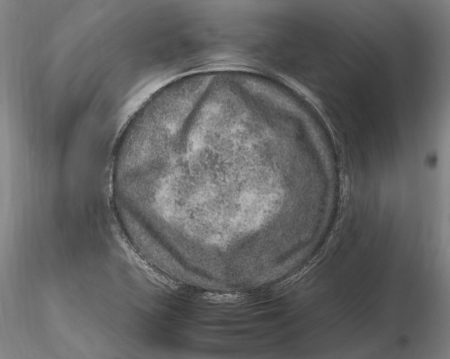 X0000115581415200912011428