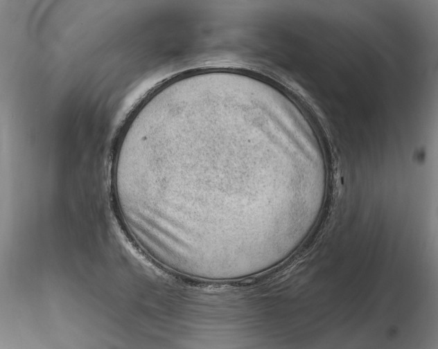 X0000115581416200912011428