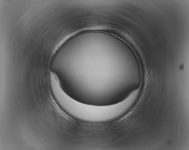 X0000115581417200912011428