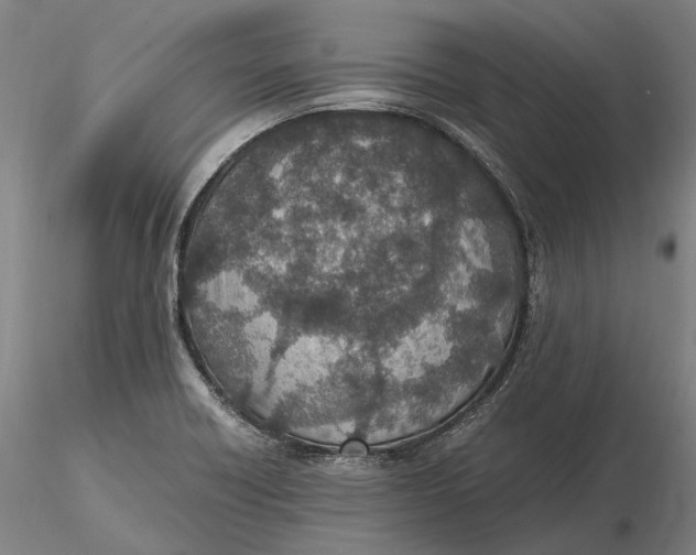 X0000115581418200912011428