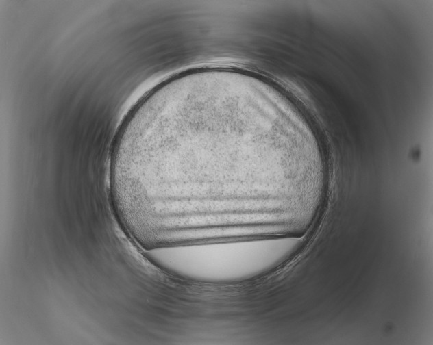 X0000115581420200912011428