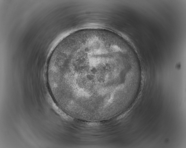 X0000115581421200912011428