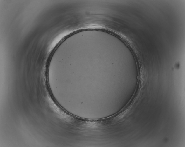 X0000115581422200912011428