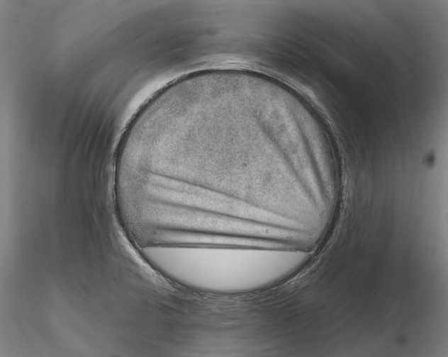 X0000115581424200912011428