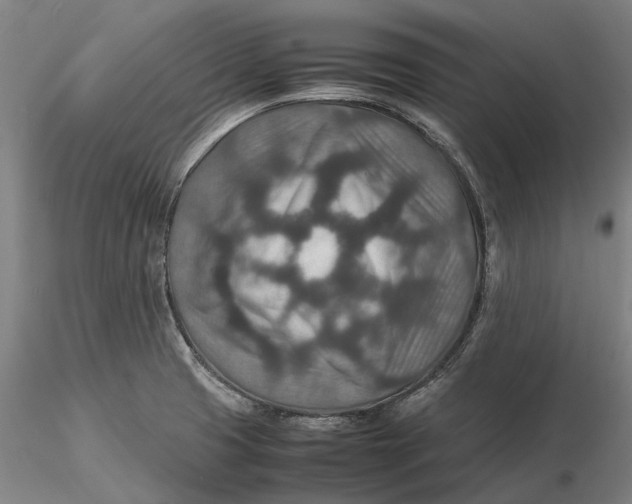 X0000115581425200912011428