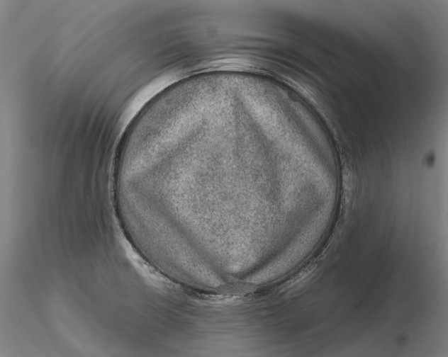 X0000115581426200912011428