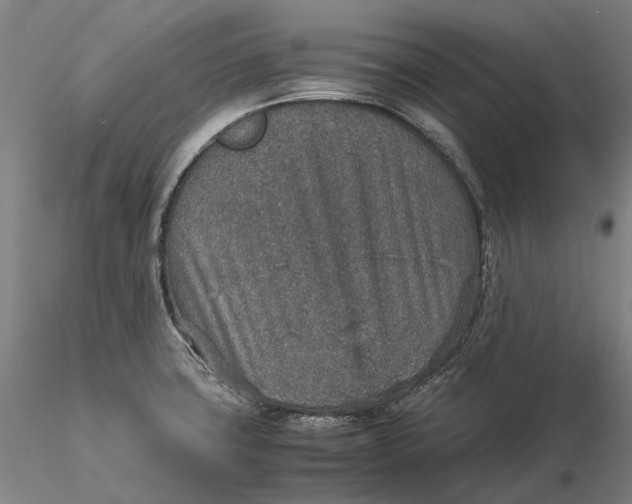 X0000115581427200912011428