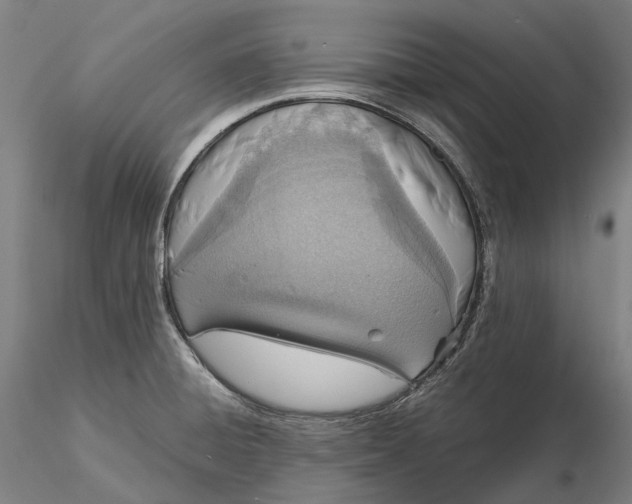 X0000115581428200912011428