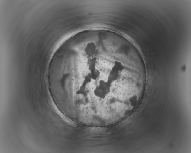 X0000115581429200912011428