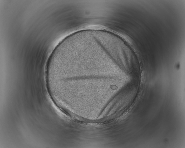 X0000115581430200912011428