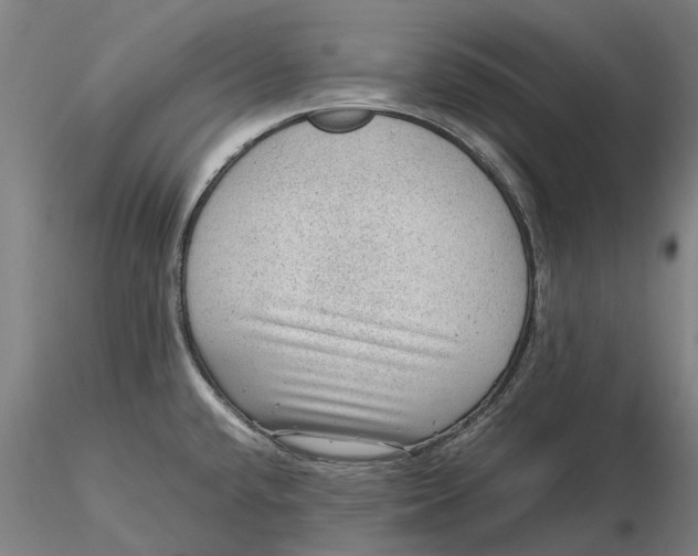 X0000115581432200912011428