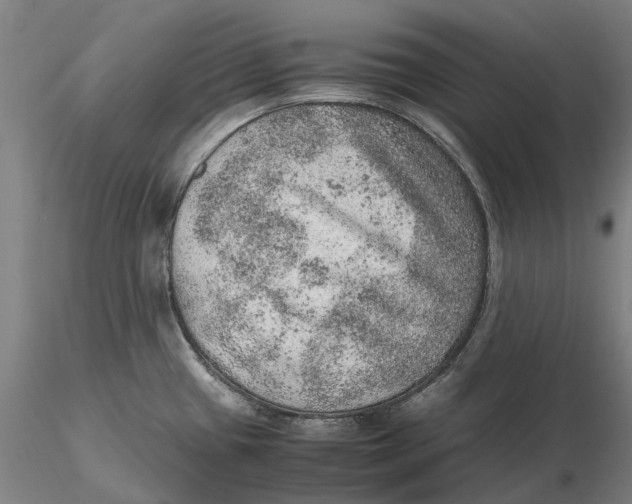 X0000115581433200912011428