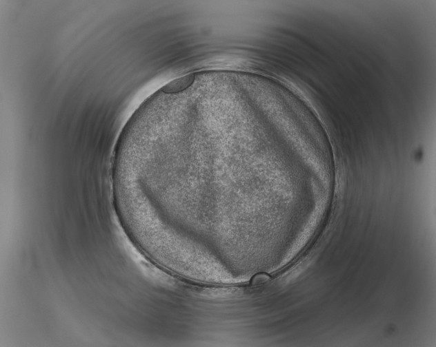 X0000115581434200912011428