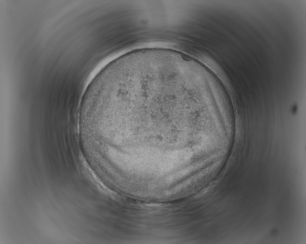 X0000115581436200912011428