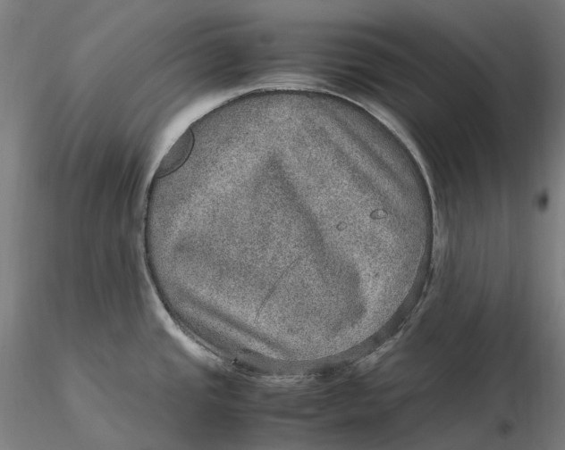 X0000115581437200912011428