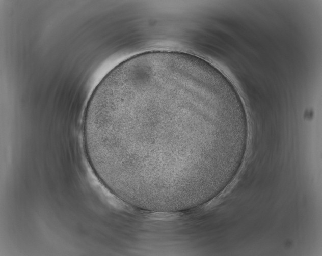 X0000115581440200912011428