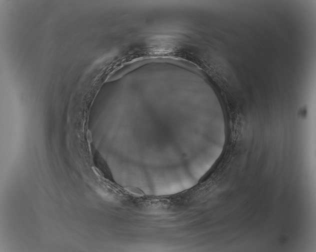 X0000115581441200912011428