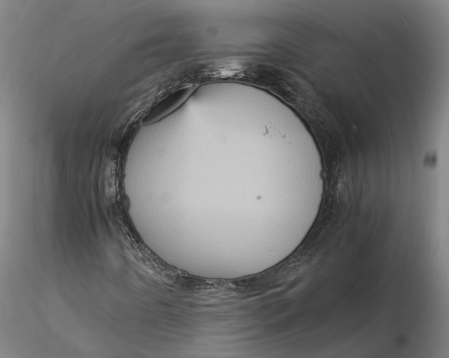 X0000115581442200912011428