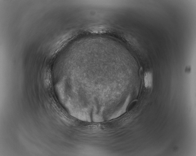 X0000115581444200912011428