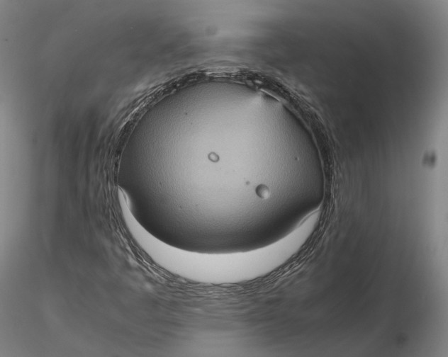 X0000115581445200912011428