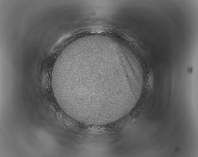 X0000115581446200912011428