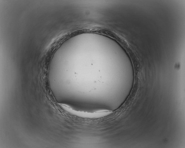 X0000115581447200912011428