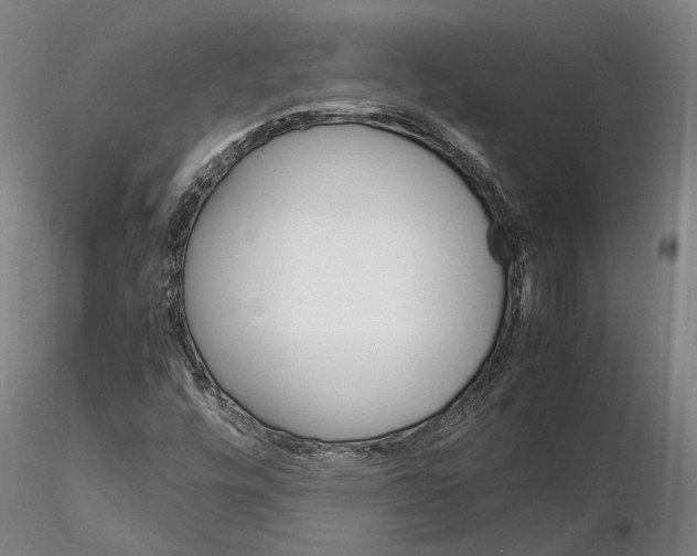 X0000115581448200912011428