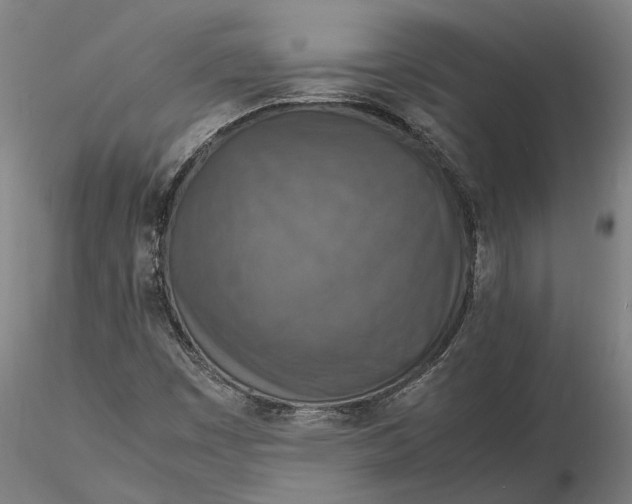 X0000115581449200912011428