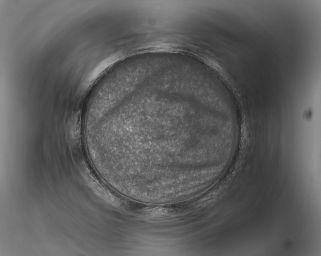 X0000115581450200912011428