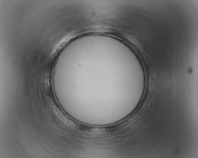 X0000115581451200912011428