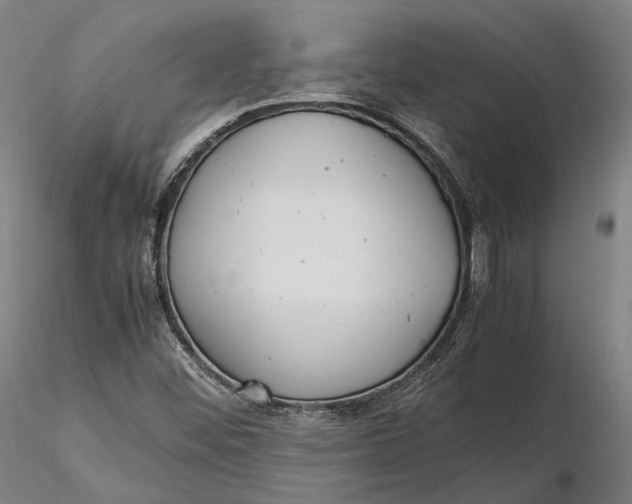 X0000115581452200912011428