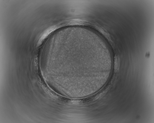 X0000115581453200912011428