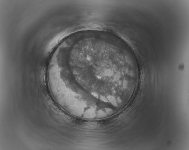 X0000115581455200912011427