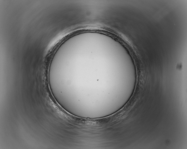 X0000115581456200912011427