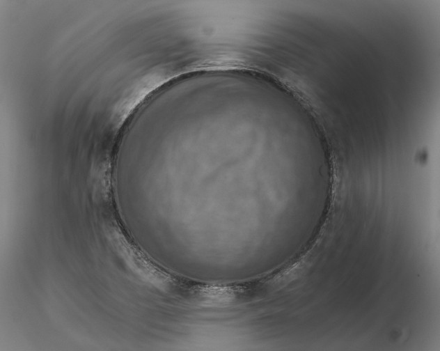 X0000115581457200912011427