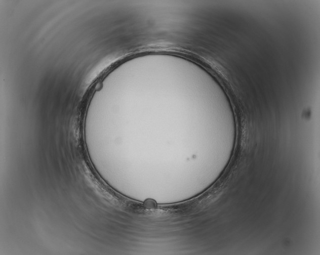 X0000115581458200912011427