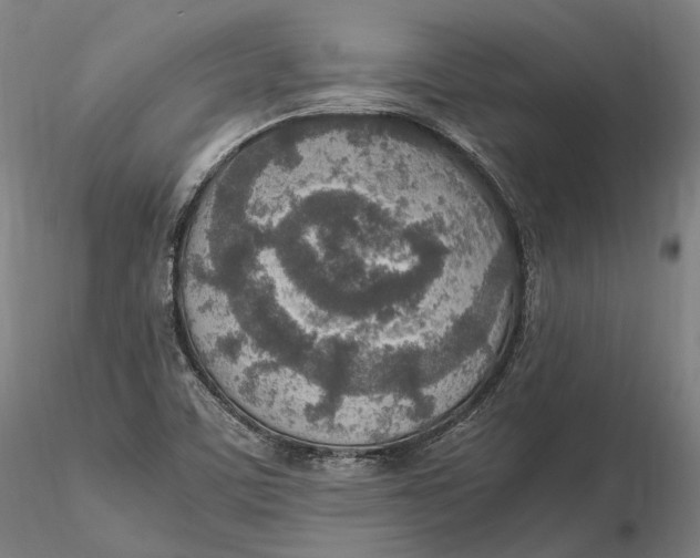 X0000115581459200912011427