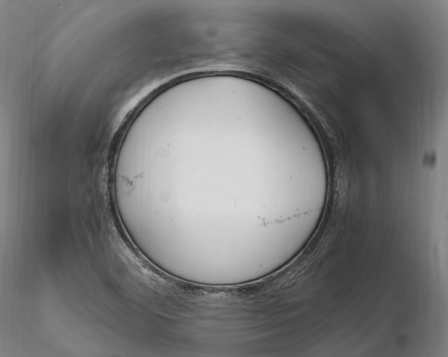 X0000115581460200912011427