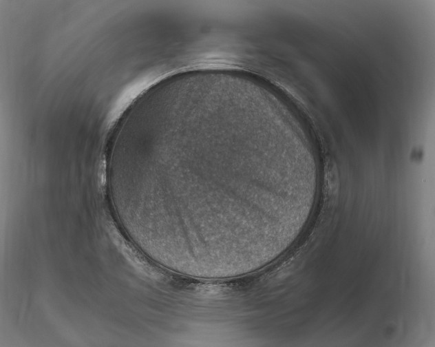 X0000115581461200912011427