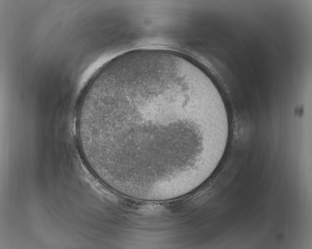 X0000115581462200912011427