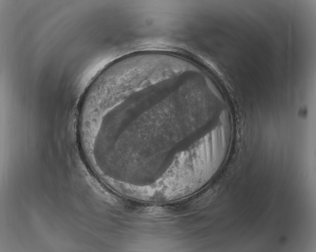 X0000115581463200912011427