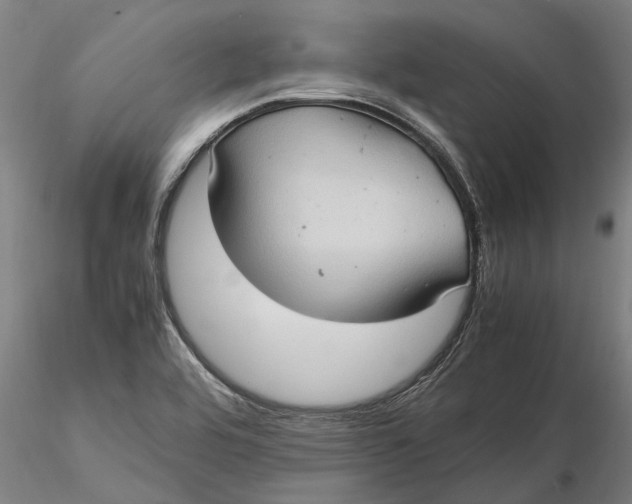 X0000115581464200912011427